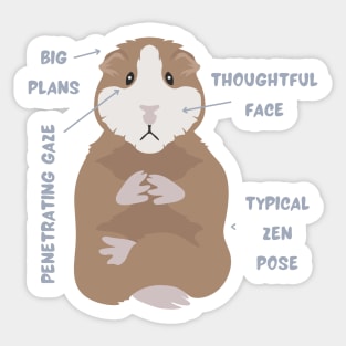 Anatomy Of A Guinea Pig With Funny Labels Sticker